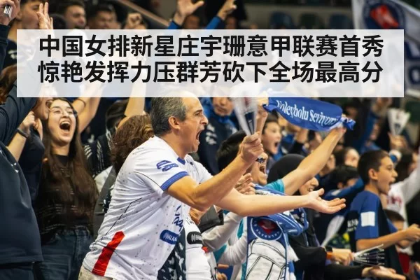 volleyball match crowd cheering
