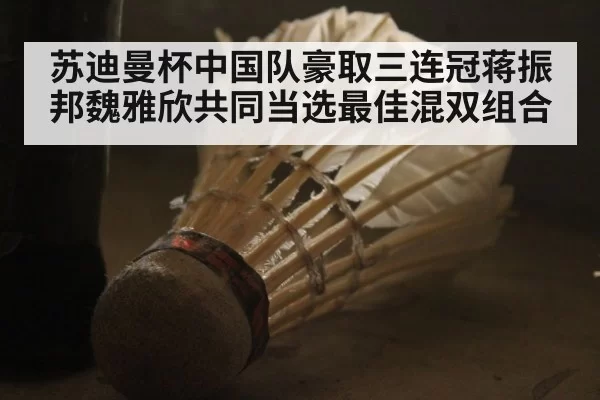 苏迪曼杯中国队豪取三连冠蒋振邦魏雅欣共同当选最佳混双组合